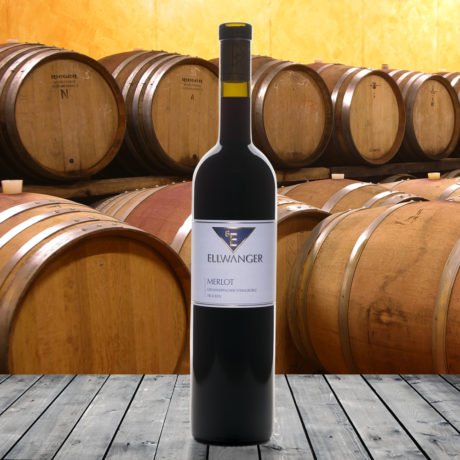 2022er<br>MERLOT<br>Großheppacher Steingrüble<br>trocken<br>mit Link zur Verkostung