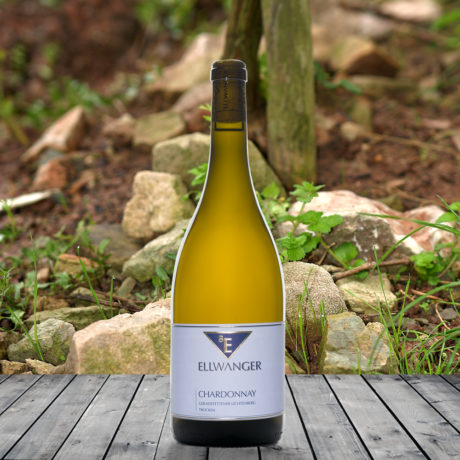 2023er<br>CHARDONNAY<br>Geradstettener Lichtenberg<br>trocken<br>mit Link zur Verkostung