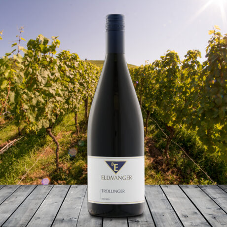 2024er<br>TROLLINGER<br>Liter<br>trocken