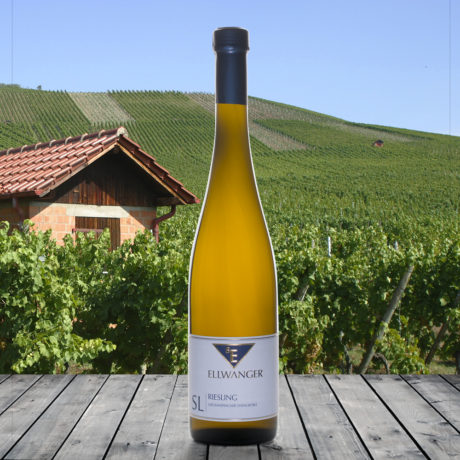 2018er<br>RIESLING SL<br>Großheppacher Steingrüble<br>trocken<br>mit Link zur Verkostung