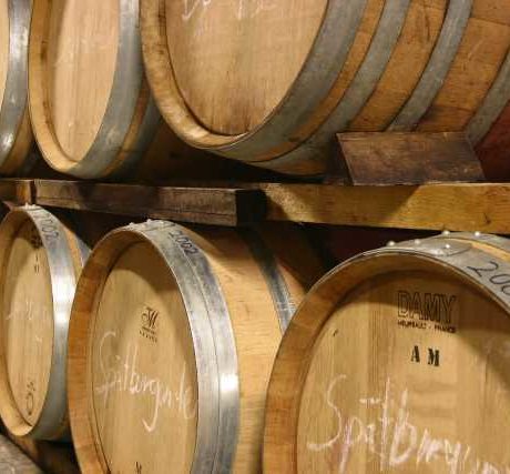 Probierpaket Spätburgunder