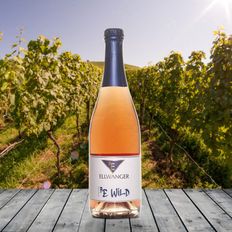 BEWiLD Perlwein<br>mit Link zur Verkostung