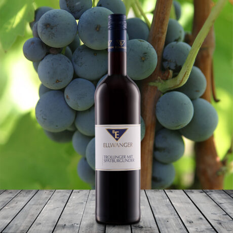 2023er<br>TROLLINGER MIT SPÄTBURGUNDER