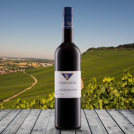 2023er<br>SPÄTBURGUNDER<br>»Gutswein«<br>trocken<br>mit Link zur Verkostung