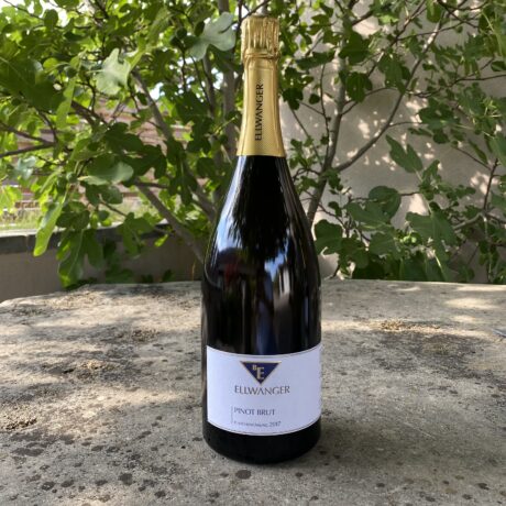 2020er<br>PINOT Sekt<br>MAGNUM<br>brut<br>mit Link zur Verkostung