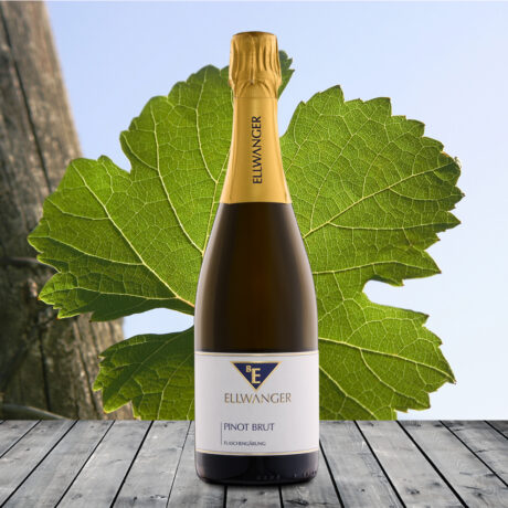 2020er<br>PINOT Sekt<br>MAGNUM<br>brut<br>mit Link zur Verkostung