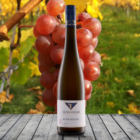 2024er<br>ROTER RIESLING<br>trocken<br>mit Link zur Verkostung