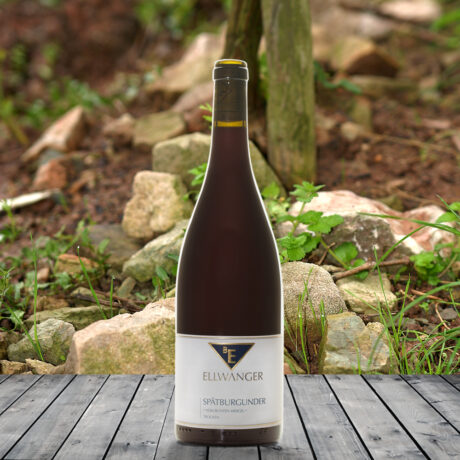2022er<br>SPÄTBURGUNDER<br>*vom bunten Mergel*<br>trocken<br>Gold Vinum Rotweinpreis<br>mit Link zur Verkostung