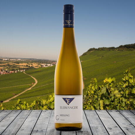 2024er<br>RIESLING<br>»Gutswein«<br>trocken<br>1. Platz beim Burda Weintest!<br>mit Link zur Verkostung