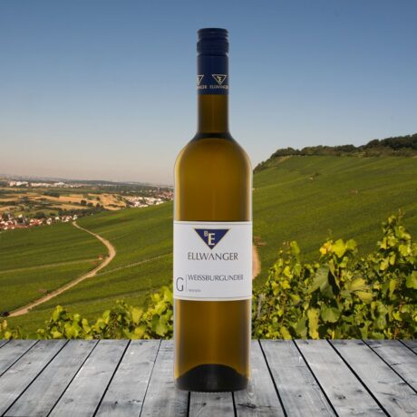 2024er<br>WEISSBURGUNDER <br>»Gutswein«<br>trocken<br>mit Link zur Verkostung