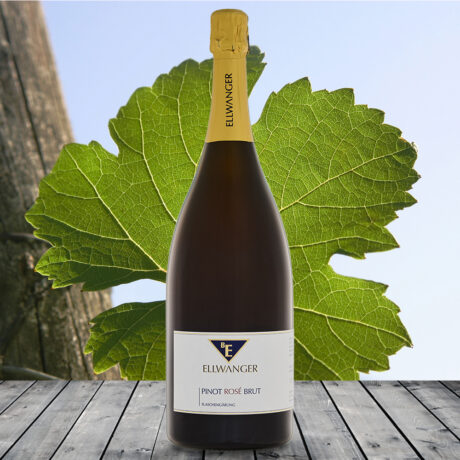 2019er<br>PINOT ROSÉ Sekt<br>MAGNUM<br>brut