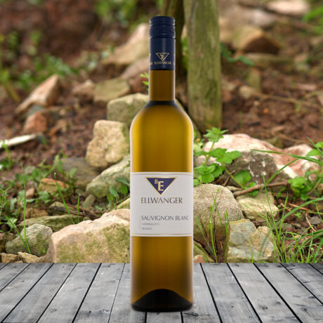 2025er<br>SAUVIGNON BLANC<br>*Höhenluft*<br>trocken<br>