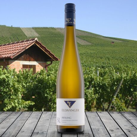 2023er<br>RIESLING SL<br>Großheppacher Steingrüble<br>trocken