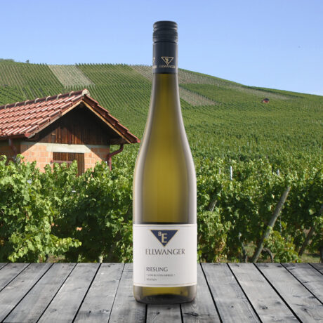 2024er<br>RIESLING<br>*vom bunten Mergel*<br>trocken<br>mit Link zur Verkostung