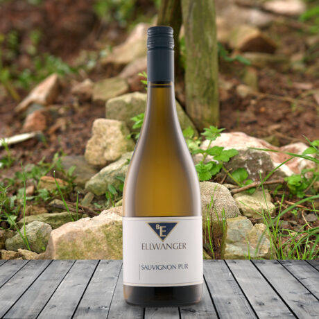 2025er<br>SAUVIGNON PUR<br>Alkoholfrei
