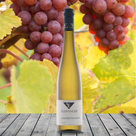 2025er<br>GEWÜRZTRAMINER<br>trocken<br>mit Link zur Verkostung<br>