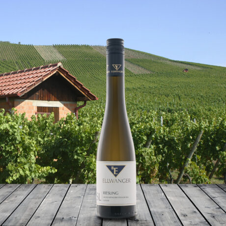 2025er<br>RIESLING SL <br>Auslese<br>Großheppacher Steingrüble<br>