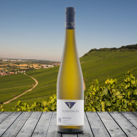 2022er<br>RIESLING<br>*Oberholz*<br>Geradstettener Lichtenberg<br>trocken<br>mit Link zur Verkostung